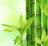 Allresults Icon
