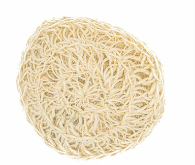 The natural exfoliating power of Sisal fibers will improve blood flow, improve the removal of toxins from your skin and energizing your body from head to feet. Sisal products are 100% natural, highly sustainable and Eco-friendly method of brushing away cellulite.  Brush-Sponge Natural Japanese Sisal with Hemp fiber bath sponge, wet-wash