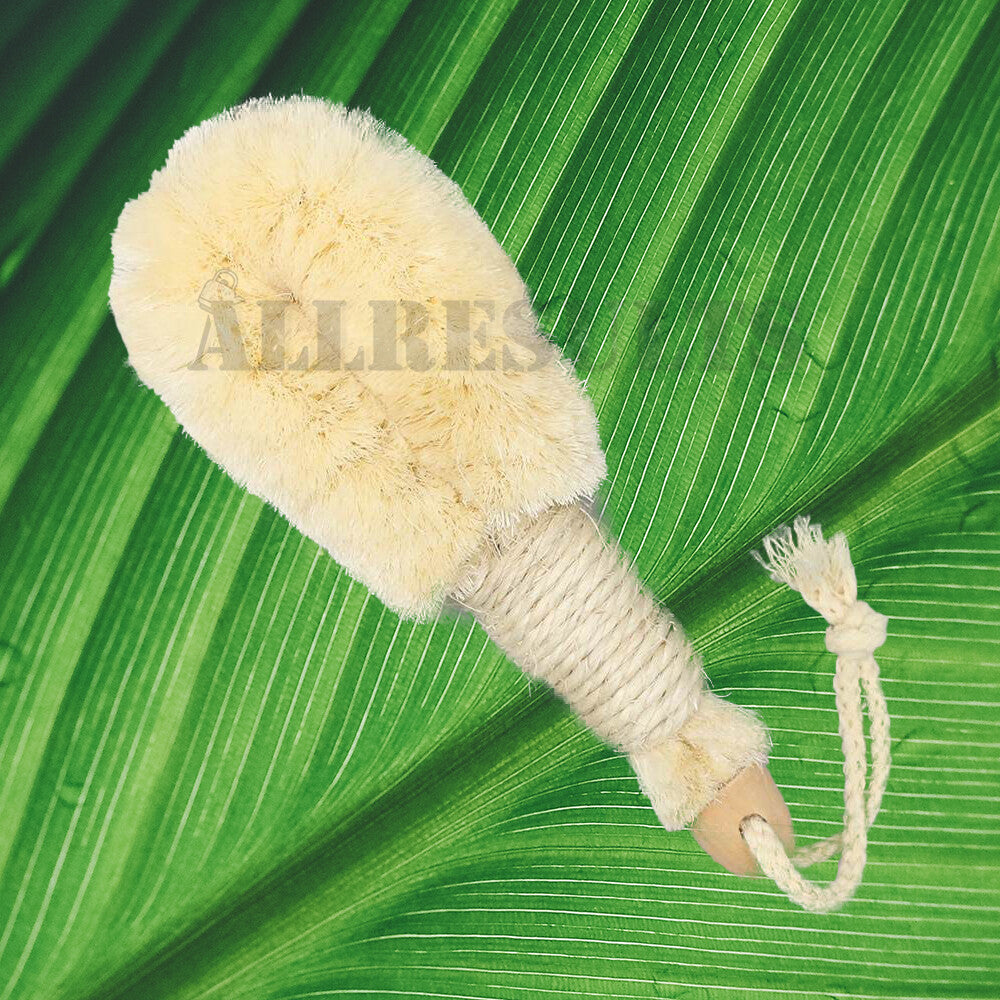 The Truth About Dry Brushing and What It Does for You? Cellulite Brushes,  to revitalize and stimulate the circulation, opening the pores of your skin to let them absorb more oxygen, while providing a deep cleansing for healthier and younger looking skin. It is also helpful to fight and prevent ingrown hairs.Dry brushing for skin,  Benefits of dry brushing, Dry Brushing for Cellulite and Lymphatic Drainage, How long should you dry brush for cellulite?, Amazon.com: Dry Body Brush