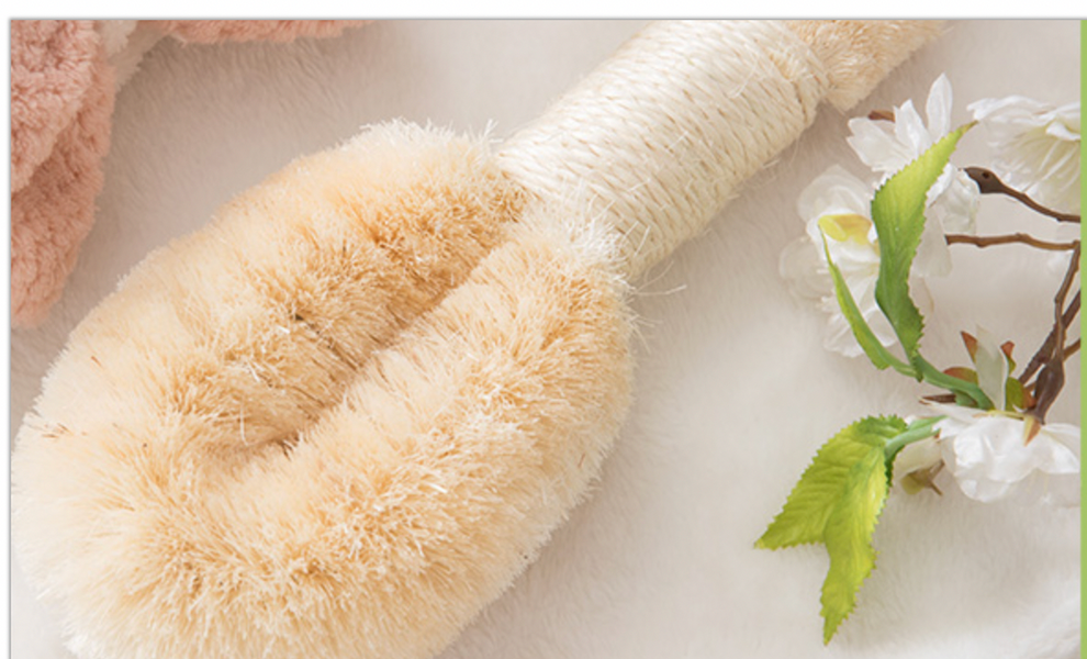 Dry brushing cellulite deals